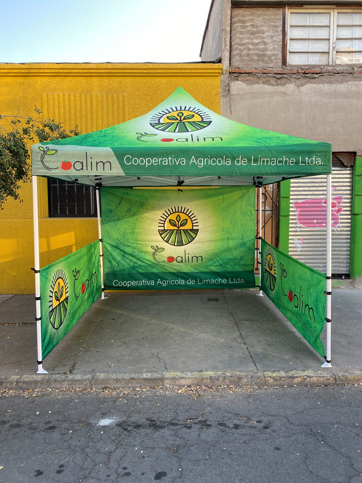 Toldo Plegable 3x3
