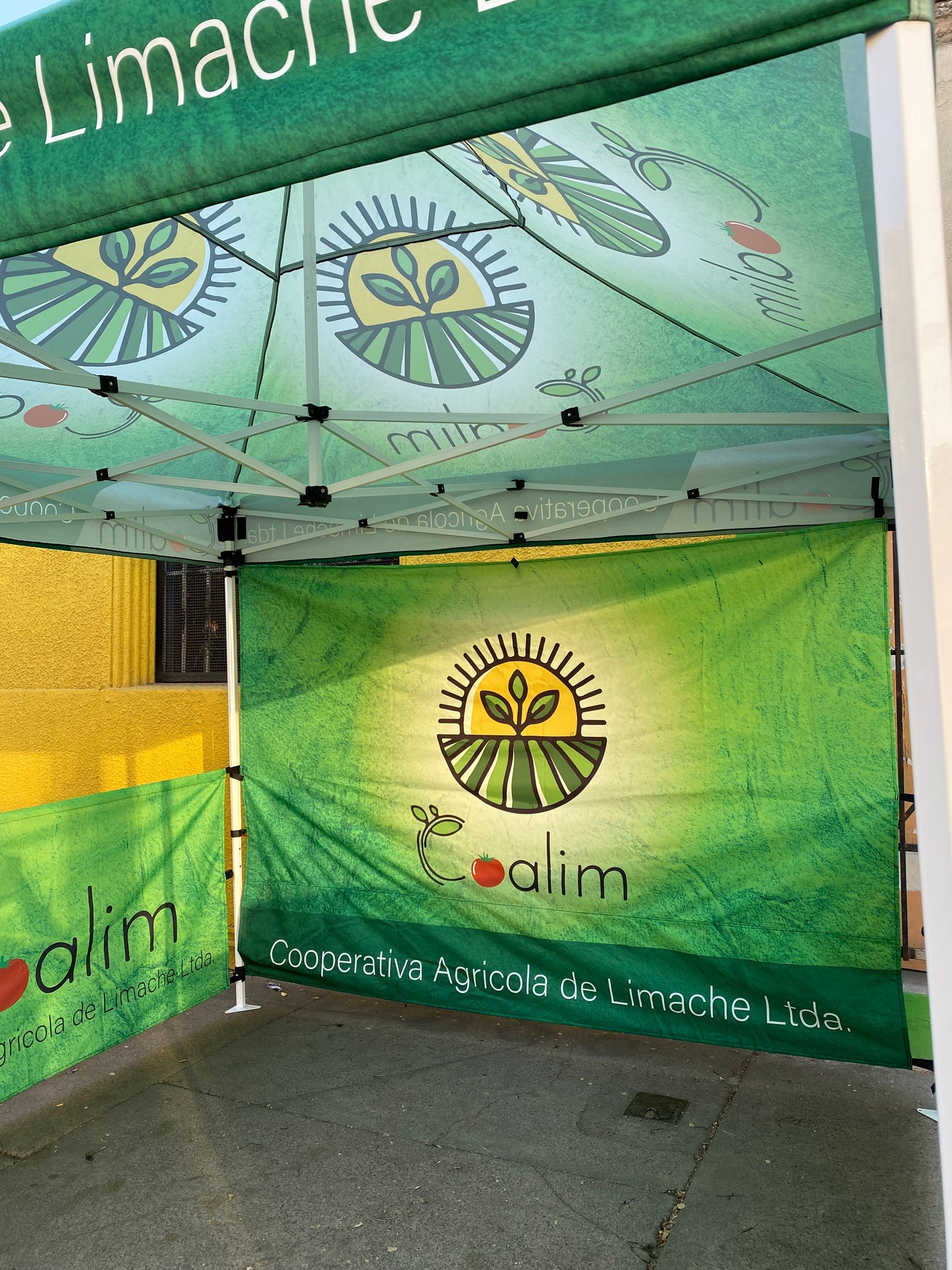 Toldo Plegable 3x3